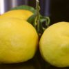 limone